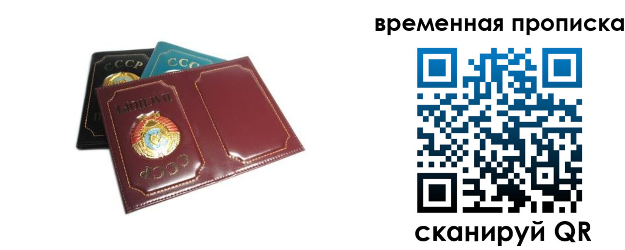 прописка 2025 в Вельске